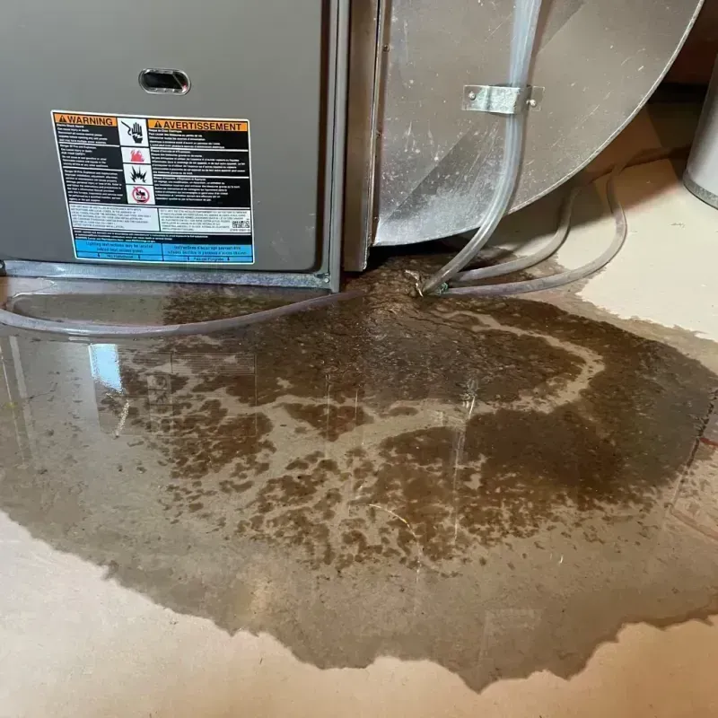 Appliance Leak Cleanup in Hermann, MO